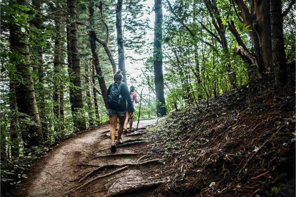 The Ultimate Guide to Hiking Trails Around Our Nature Cottages